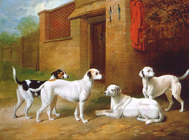 am045D11 animal dog Oil Paintings